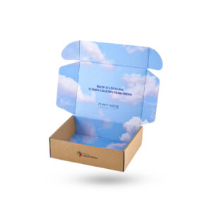 delivery mailer boxes